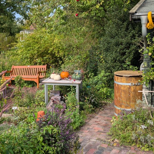 LNG Wochenendseminar &bdquo;Instandhaltung und Infrastruktur im Kleingartenverein&ldquo;