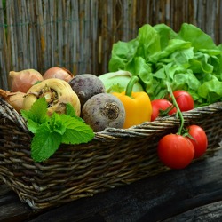 Der schönste Garten des Bezirkes