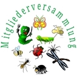 Mitgliederversammlung des BV Celle e.V.