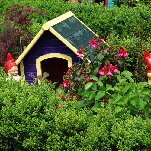 BV Celle richtet in 2026 wieder einen Gartenwettbewerb aus.