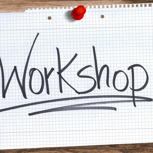 Seminar zum Thema "Mitgliederversammlung" im BV Celle