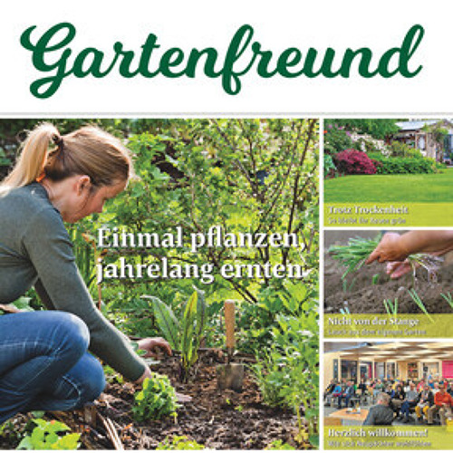 Beitrag Verbandszeitung April 2024