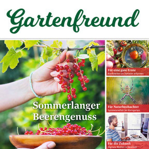 Pressemitteilung Juni 2022