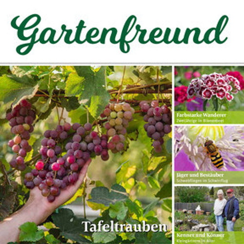 Beitrag Verbandszeitung August 2023 