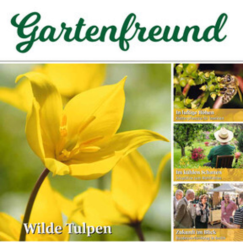 Beitrag Verbandszeitung Oktober 2023
