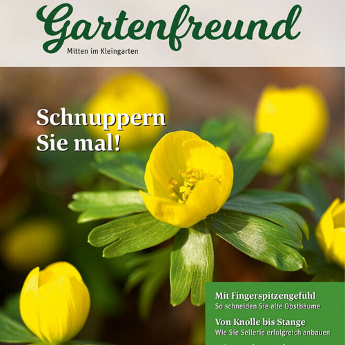 Beitrag Verbandszeitung Januar 2026