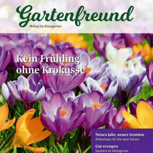 Beitrag Verbandszeitung Februar 2026