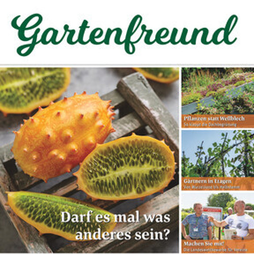 Beitrag Verbandszeitung Februar 2025