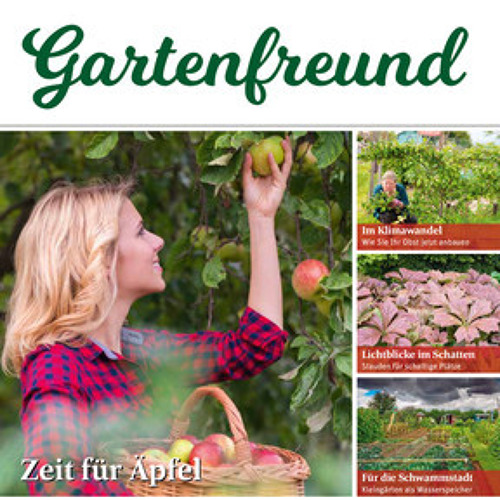 Beitrag Verbandszeitung September 2023