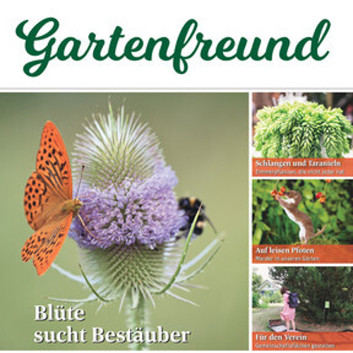 Beitrag Verbandszeitung November 2023